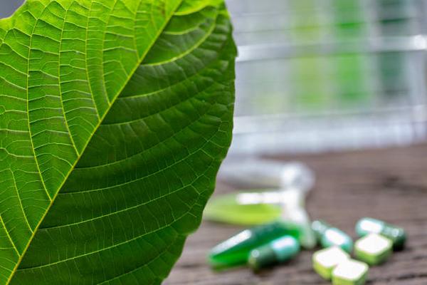 How to Identify High-Quality Kratom Products